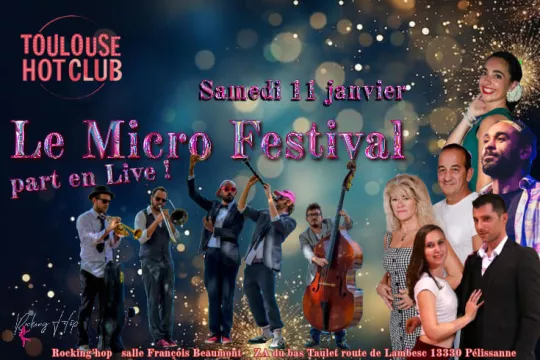 micro festival 2025